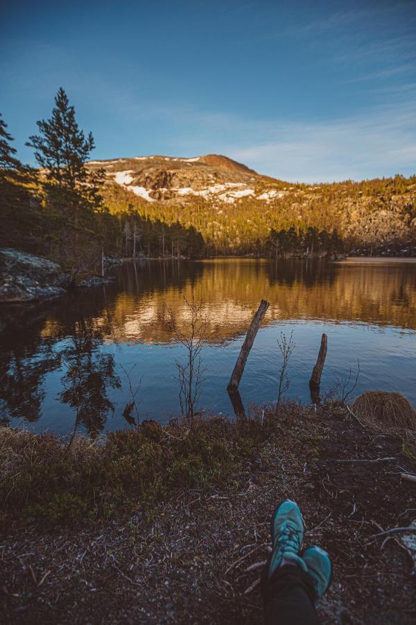 Saltdal Turistsenter Villa Storjord Bagian luar foto